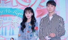 娱乐圈吃瓜系统的小说,揭秘吃瓜背后的真相与秘密