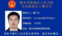 衡水最近爆料案件最新,最新案件细节曝光，真相令人震惊！